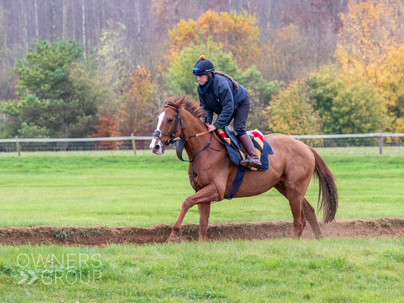 Alan King Visit - 18 November 2021